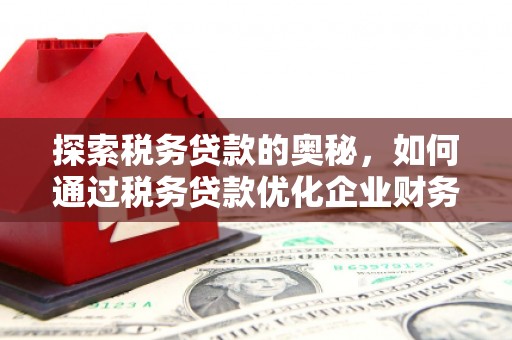 桐乡探索税务贷款的奥秘，如何通过税务贷款优化企业财务