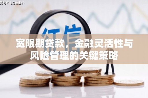 桐乡宽限期贷款，金融灵活性与风险管理的关键策略