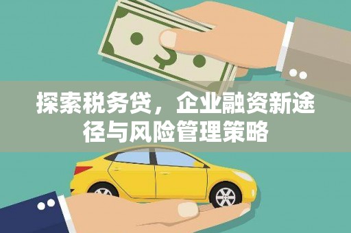 桐乡探索税务贷，企业融资新途径与风险管理策略