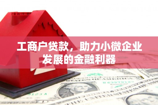桐乡工商户贷款，助力小微企业发展的金融利器