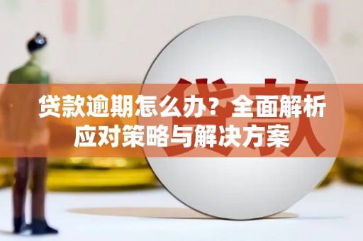 桐乡贷款逾期怎么办？全面解析应对策略与解决方案
