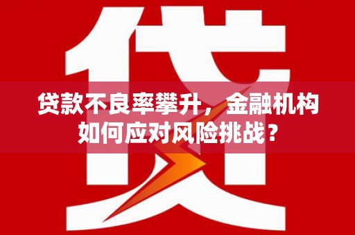桐乡贷款不良率攀升，金融机构如何应对风险挑战？