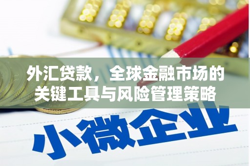 桐乡外汇贷款，全球金融市场的关键工具与风险管理策略