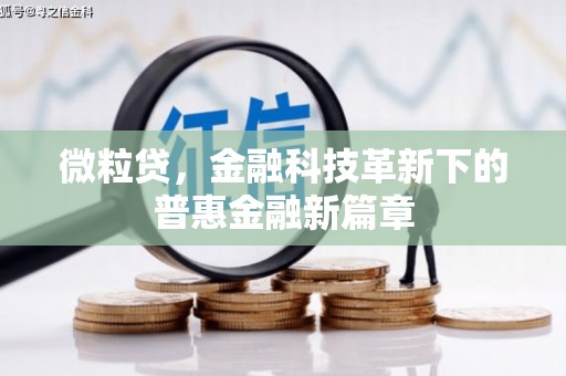 桐乡微粒贷，金融科技革新下的普惠金融新篇章
