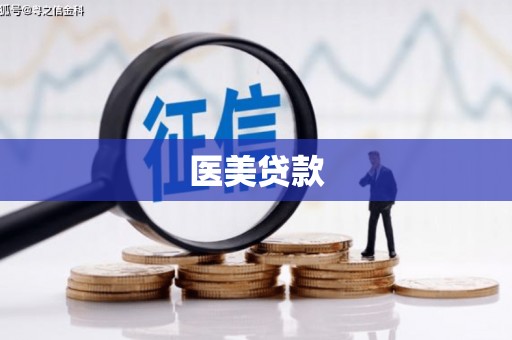 桐乡医美贷款