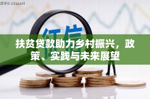 桐乡扶贫贷款助力乡村振兴，政策、实践与未来展望