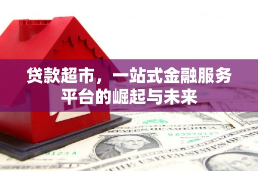 桐乡贷款超市，一站式金融服务平台的崛起与未来