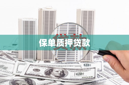 桐乡保单质押贷款
