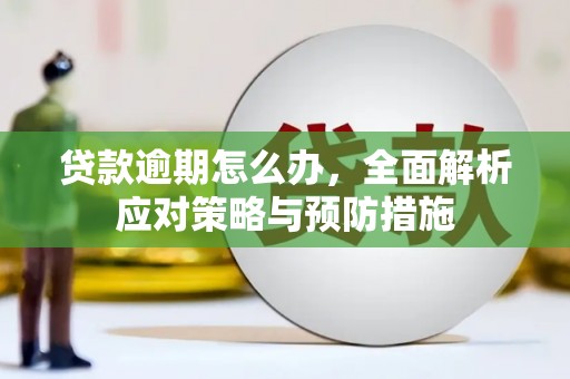 桐乡贷款逾期怎么办，全面解析应对策略与预防措施