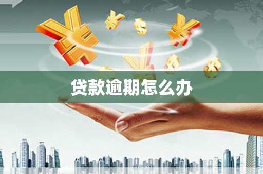 桐乡贷款逾期怎么办