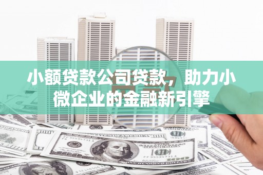 桐乡小额贷款公司贷款，助力小微企业的金融新引擎