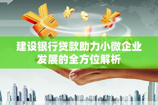 桐乡建设银行贷款助力小微企业发展的全方位解析