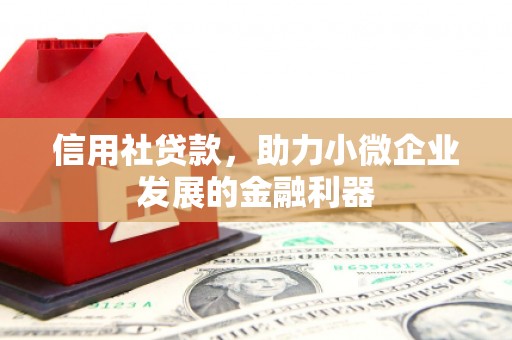 桐乡信用社贷款，助力小微企业发展的金融利器