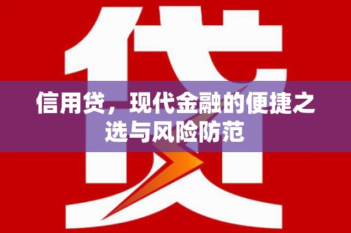 桐乡信用贷，现代金融的便捷之选与风险防范