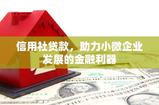 桐乡信用社贷款，助力小微企业发展的金融利器