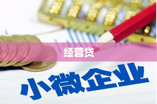 桐乡经营贷
