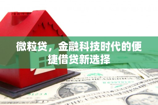 桐乡微粒贷，金融科技时代的便捷借贷新选择