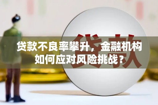 桐乡贷款不良率攀升，金融机构如何应对风险挑战？