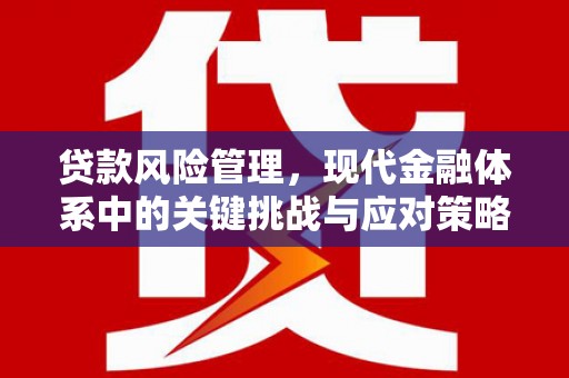 桐乡贷款风险管理，现代金融体系中的关键挑战与应对策略