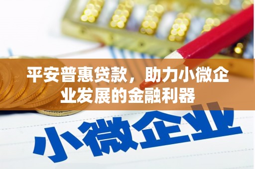 桐乡平安普惠贷款，助力小微企业发展的金融利器