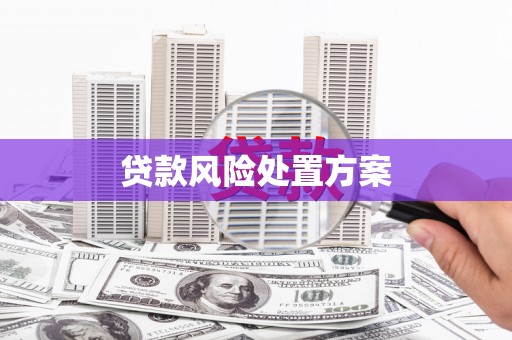 桐乡贷款风险处置方案